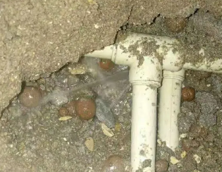阜新市卫生间测漏