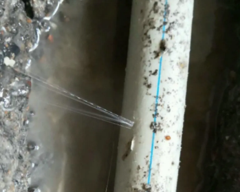 阜新市卫生间测漏水多少钱