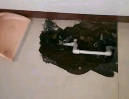 阜新市卫生间测漏水多少钱